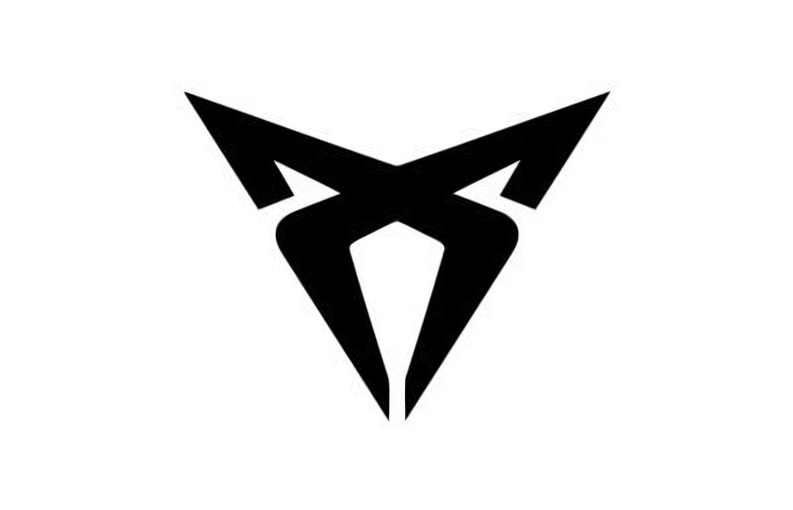 logo della collezione batterie cupra di puntobatterie