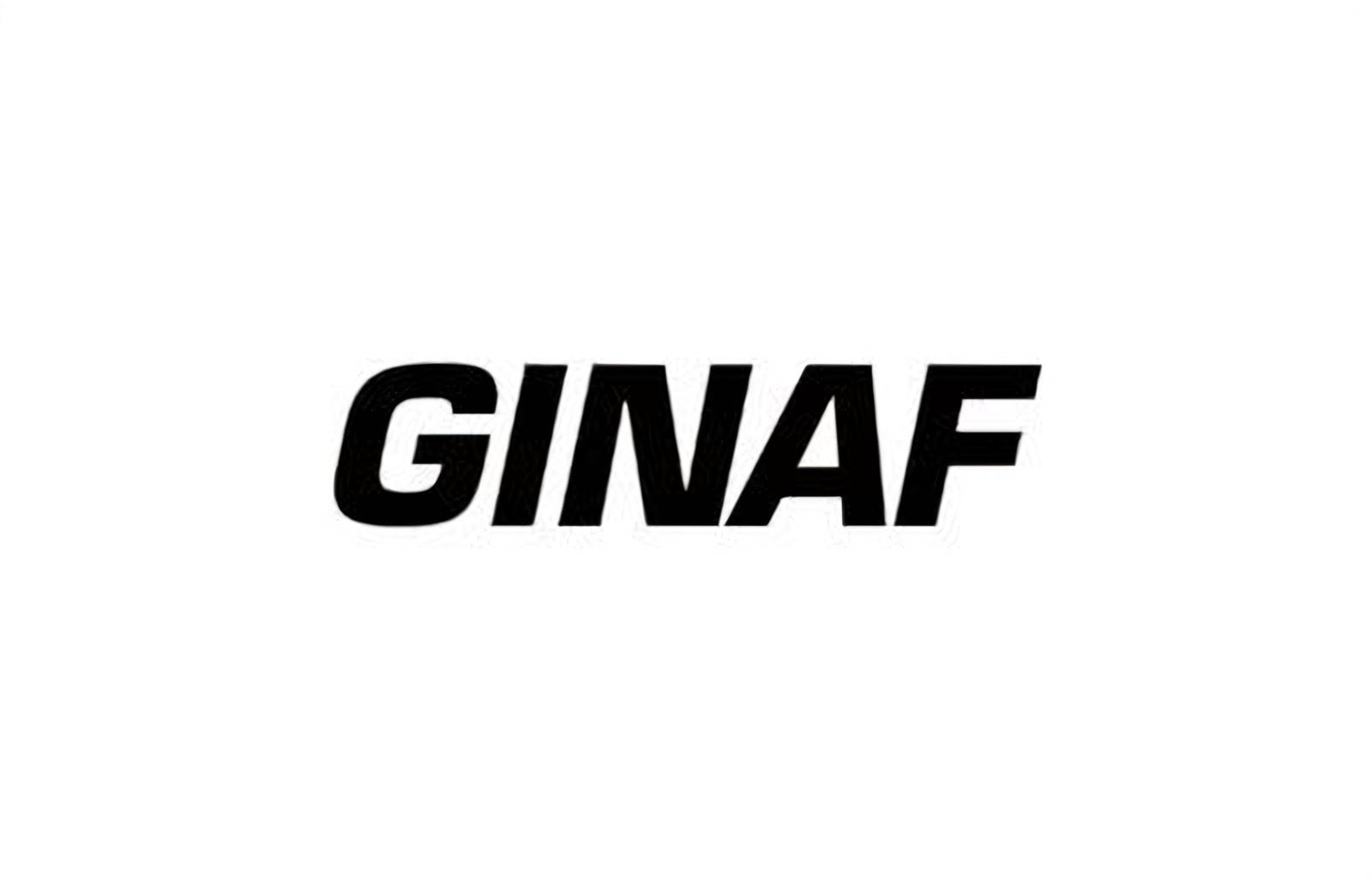 logo della collezione batterie ginaf di puntobatterie