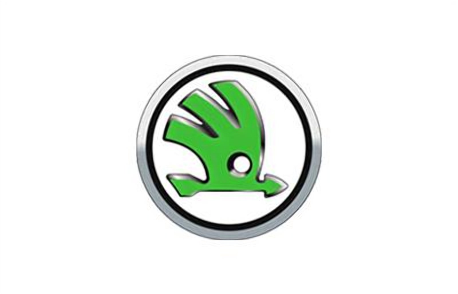 logo della collezione batterie skoda di puntobatterie