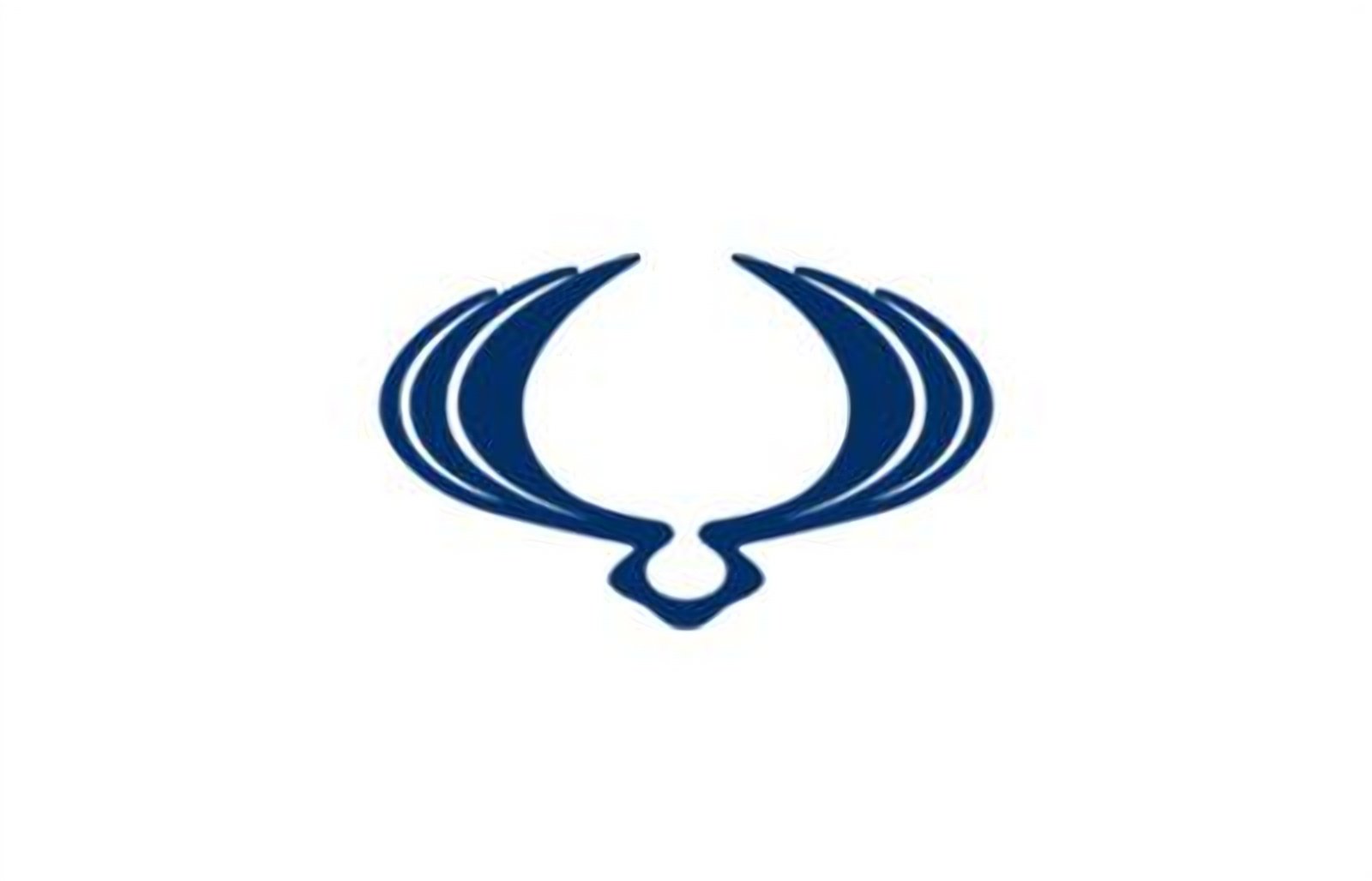 logo della collezione batterie ssangyong di puntobatterie