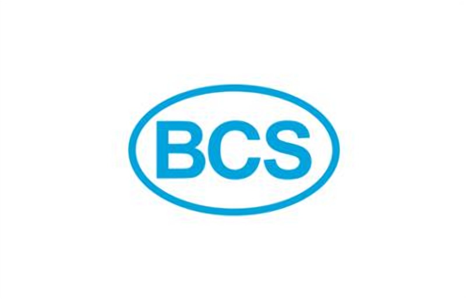 logo della collezione batterie bcs di puntobatterie