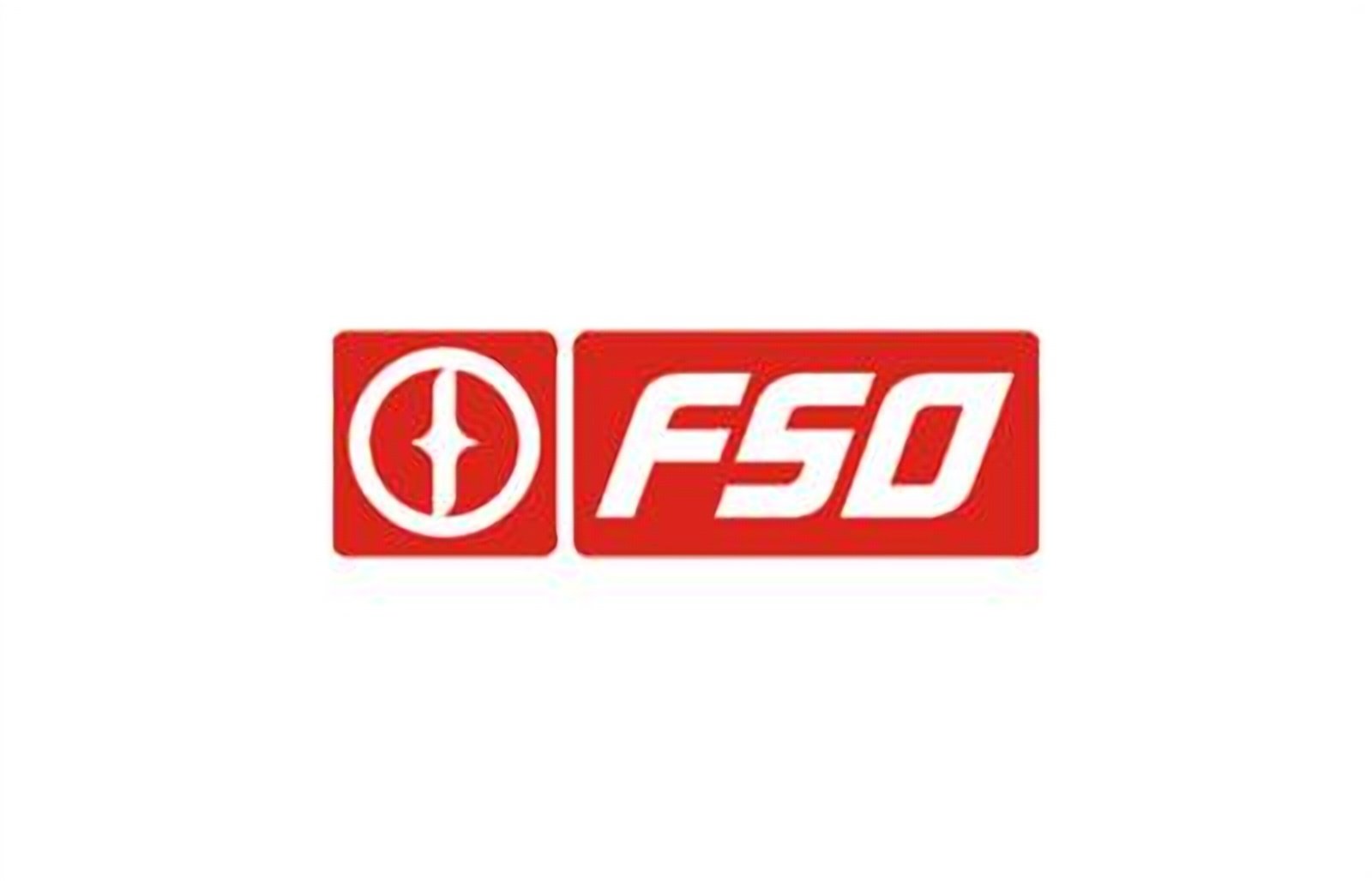 logo della collezione batterie fso di puntobatterie