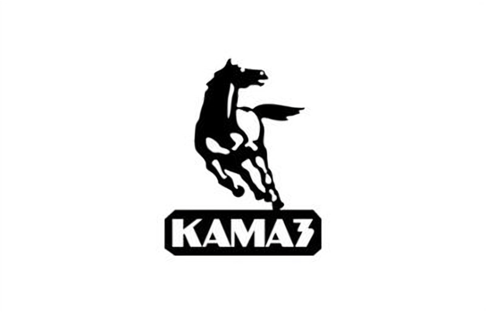 logo della collezione batterie kamaz di puntobatterie