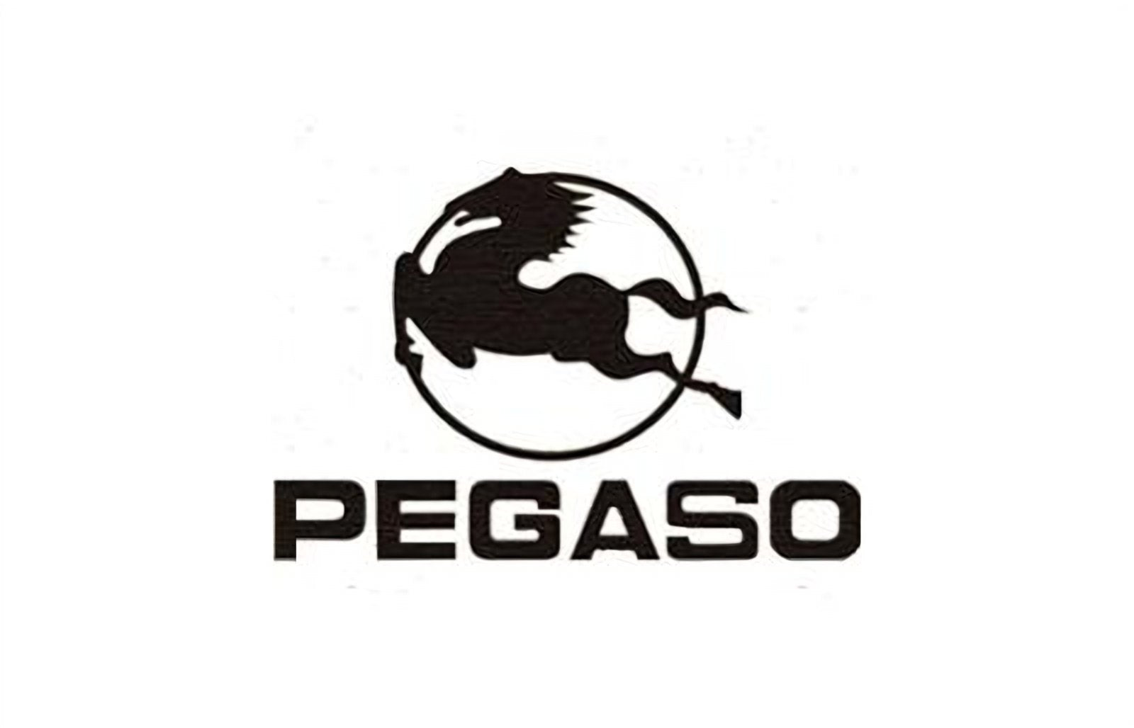 logo della collezione batterie pegaso di puntobatterie