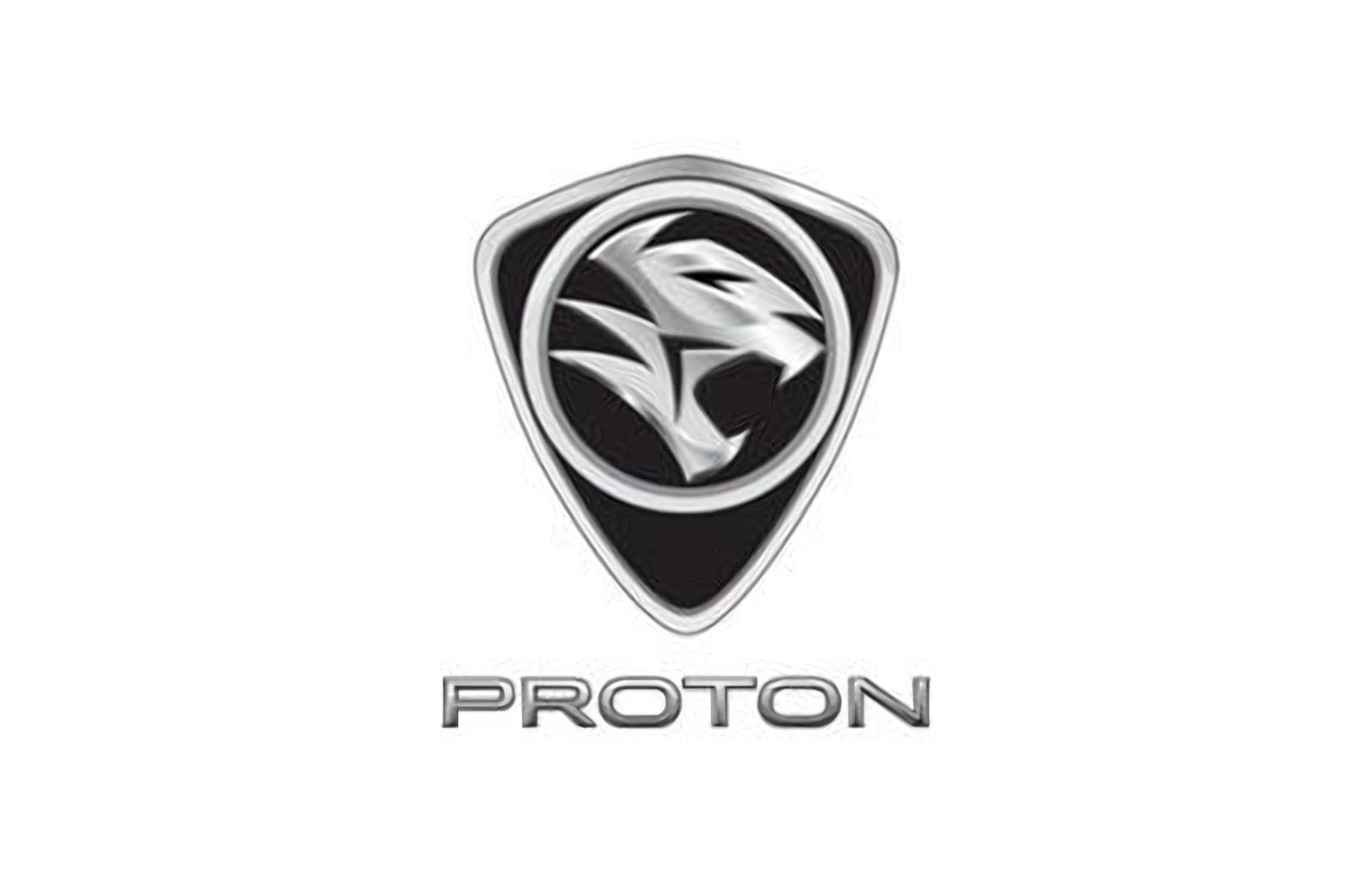 logo della collezione batterie proton di puntobatterie